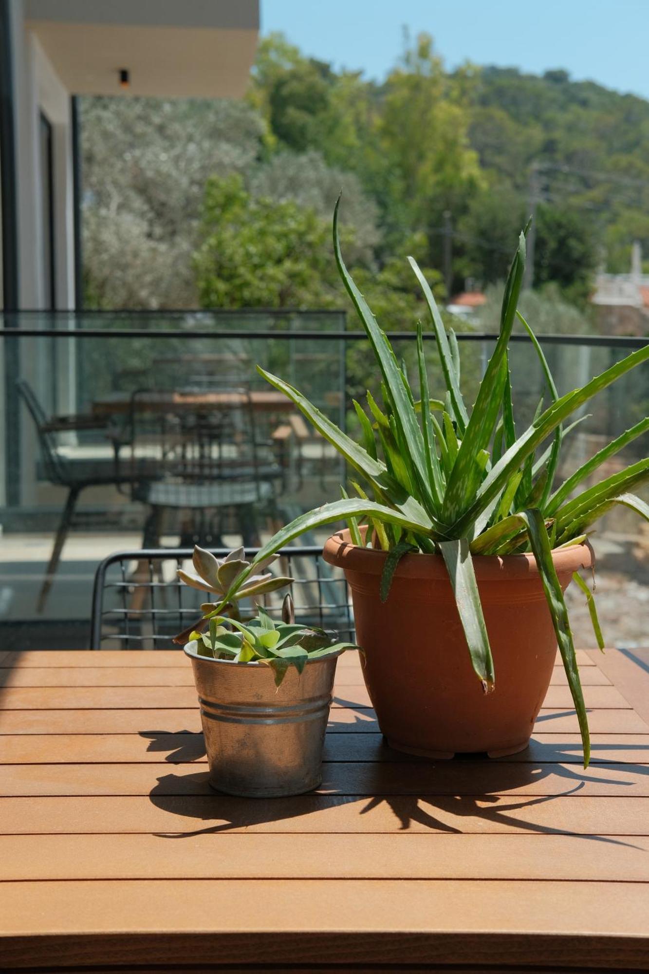 Kaktus Suites Κας Εξωτερικό φωτογραφία